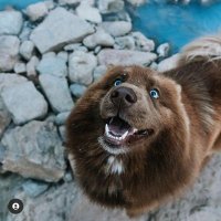 Chubbyfirst (@chubbyfirst1) 's Twitter Profile