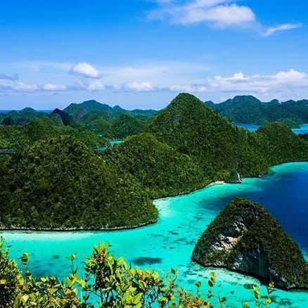 Hedayet3344's profile picture. 