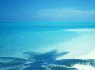 hyperforce11's profile picture. 