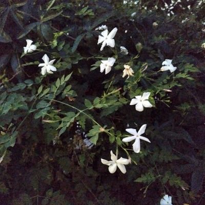 zu_wandern's profile picture. я есть твоя плохая память
🇸🇪