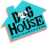 DoghouseArt's profile picture. Bucks County husband and wife team photographing cute and lovable dogs. Local to the Philadelphia area, but always willing to travel.