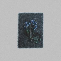 三浦勇人 (@y_miura713) 's Twitter Profile Photo