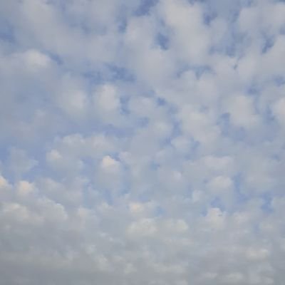 MBB_sm's profile picture. 🤍🐻🐶🐹🐢🐝🐱🤍 햄프올프❣️