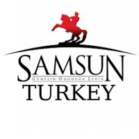 samsunturkey(@samsunturkey) 's Twitter Profile Photo