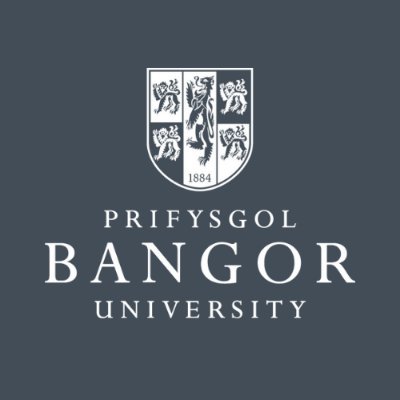Bangor University Business School Executive Education - providing cutting-edge & innovative learning to the global financial services sector