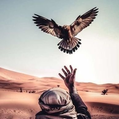⛈⚡هاوي وراصد ميداني للأمطار ⛈⚡
عاشق للخيل💚🐴