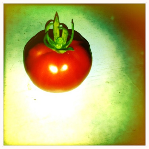 richies01's profile picture. 