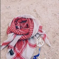 nasserhuqayl (@nasserhuqayl2) 's Twitter Profile