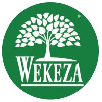Wekeza(@wekeza) 's Twitter Profile Photo