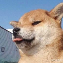 t182900034's profile picture. 男生，高跟鞋控