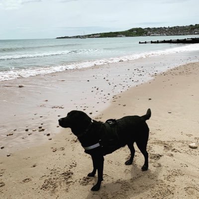 Loves all things food and drink related!! Walking our Labrador Lyla, music, mooching through markets and dreaming of living by the sea!