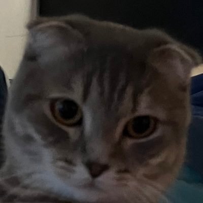Dm for 0 ping 0 delay