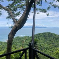 eada01 (@evelyndorado3) 's Twitter Profile