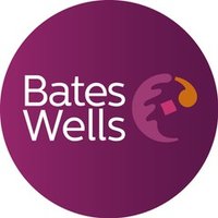 BatesWells ChaSE(@BatesWellsChaSE) 's Twitter Profile Photo