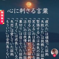 めい (@naoki6522) 's Twitter Profile