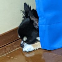 優ハピ💫 (@6v4cvmf0nuewzez) 's Twitter Profile