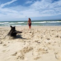 Frau Schwatzbase (@_pindakaas) 's Twitter Profile