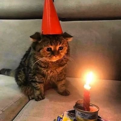 netspeed2002's profile picture. 