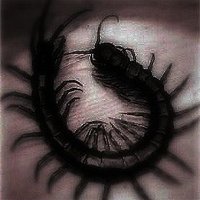 ✟ (@xkillercorpse) 's Twitter Profile