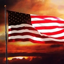 nogovelites's profile picture. Conservative retiree. Love our country for all the good it's done in the world. Try to live the Golden Rule.