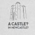 Newcastle Castle (@newcastlecastle) Twitter profile photo Newcastle Castle (@newcastlecastle) Twitter profile photo