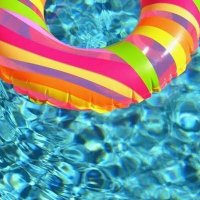 こたか うきわ (@uk1wa256) 's Twitter Profile Photo