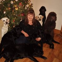 Sally Florence Hughlock (@sallyfhughlock) 's Twitter Profile Photo