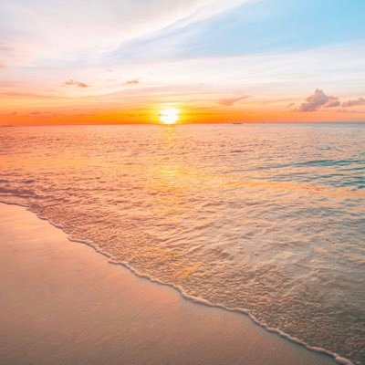 amy_sundby's profile picture. 