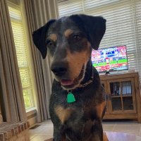 Old Hoss Waylon Lindsey (@the_old_hoss) 's Twitter Profile