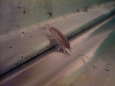 alieramorder's profile picture. тринадцать с половиной дней делить на сорок два начала.