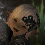 Kohakyu Kohaさんのプロフィール画像