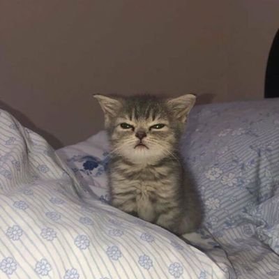 yaanii_001's profile picture. Argentina 🇦🇷