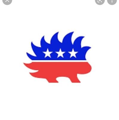 #NoLibertarianUnder1K
Anti-Bootlicker. Eliminate the EC. Ranked Choice Voting is the future. Not a Republicrat supporter.