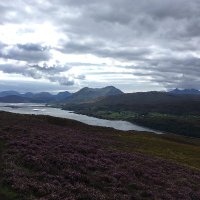 Upstream GP UK (@gpupstream) 's Twitter Profile