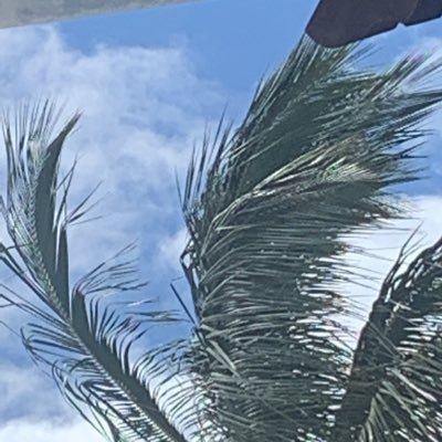 Rclark0808's profile picture. 