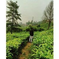 Fauzan (@fauzan_9712) 's Twitter Profile