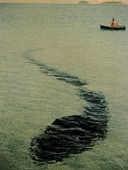 jobanni1023's profile picture. 息子（5歳）が大好き　好きなもの→スーパー戦隊　仮面ライダー　白石和彌監督作品　すみっコぐらし　東京リベンジャーズ　宇宙なんちゃらこてつくん　ちいかわ　孤独のグルメ　ヒロアカ　ハイキュー　バイク　スノボ・スキー　ギター　
※エロ　政治関係はスルーします