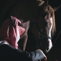 غُـــلاَم✮ (@ghulam_aaa) 's Twitter Profile