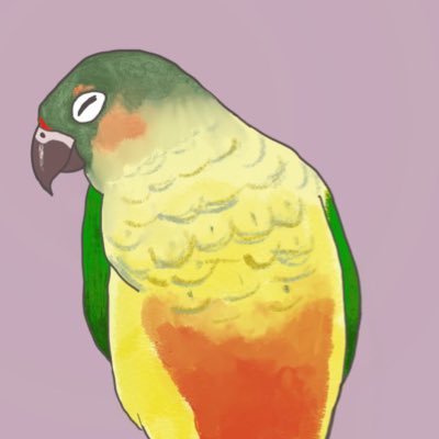 ワキコガネのピーマン🦜さんのプロフィール画像