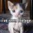 quaileeb's profile image