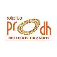 Colectivo PRODH(@Colectivo_PRODH) 's Twitter Profile Photo