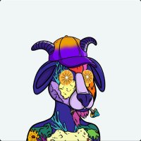 NotSol (@notsoleth) 's Twitter Profile