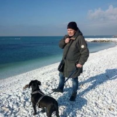Alessandro Paoliさんのプロフィール画像