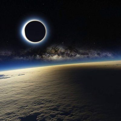 xenseone's profile picture. PFSO 25v 11B KORE X Xense1