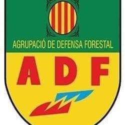 Conductor de autobuses
Voluntario en ADF 320 Torrelles de Llobregat
