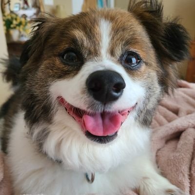 BH_Leah5375's profile picture. My #GH and #YR Twitter, I have the worst luck with my soap ships.