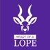 Heart Of A Lope (@heartofalope) Twitter profile photo Heart Of A Lope (@heartofalope) Twitter profile photo