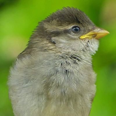 Emilie, je suis originaire de Lorraine. J'habite à Niort. 
J'adore les jeux de société. 
Je déteste l'injustice.