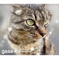 野良猫パーキング修(@CGEmKkvZz5s845c) 's Twitter Profile Photo