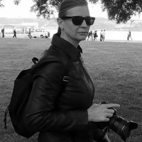 Stacy Allen, Author. (@stacyallen5) 's Twitter Profile Photo